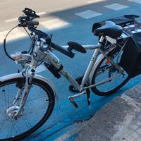 Bici elettrica