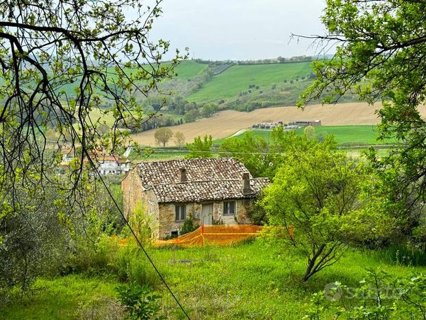 Rudere con terreno - Fermo