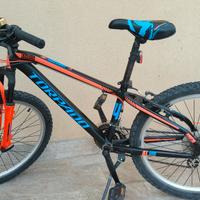 MTB ragazzo Torpado 24"