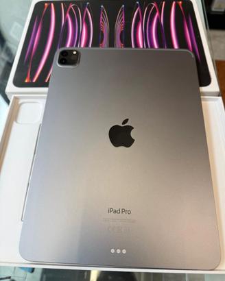 IPAD PRO 11 4th gen M2 256GB WIFI