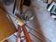 Immagine 6