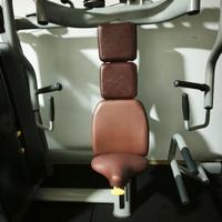 Technogym Chest Press