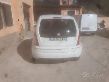 Lancia musa 2010