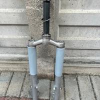 Forcella piaggio si