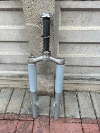 Forcella piaggio si