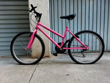 bicicletta