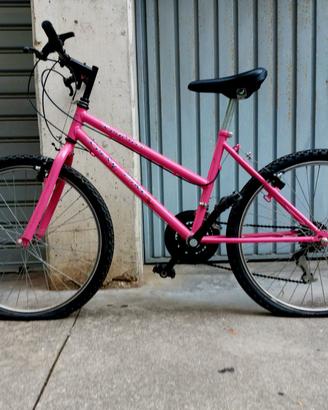 bicicletta
