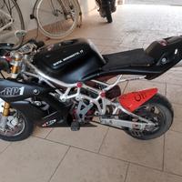 minimoto dm
