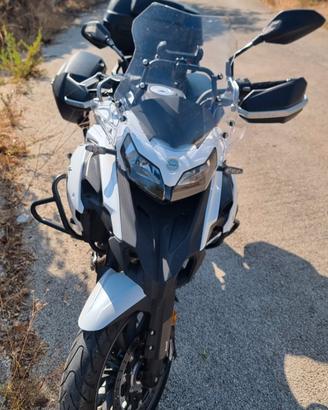 Trk 502 Benelli