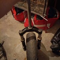  forcelle piantone cerchio e gomma f12