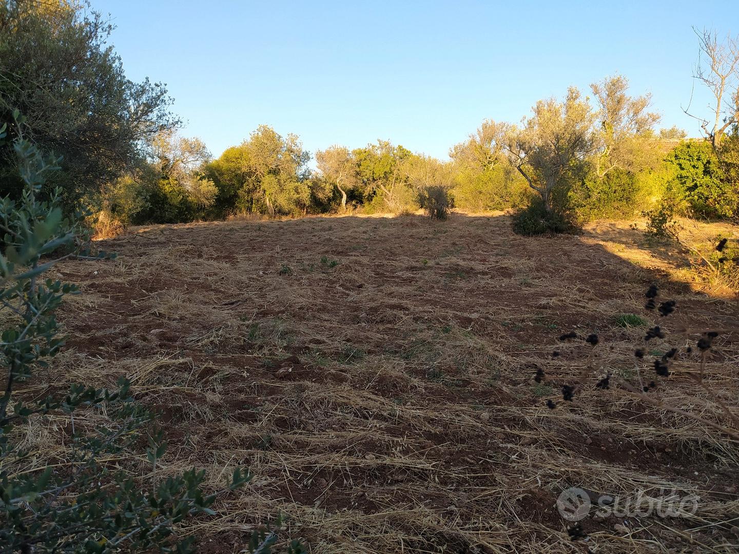 La Landrigga - Terreno mq. 600 a Sassari - Vista 2