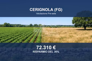 Immobile in asta di 59710 m² a Cerignola