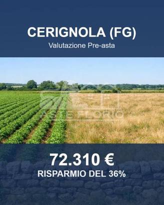 Immobile in asta di 59710 m² a Cerignola