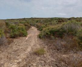 Terreno per azienda agricola Santa Teresa Gallura