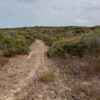 Terreno per azienda agricola Santa Teresa Gallura