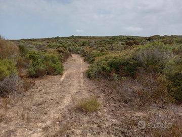 Terreno per azienda agricola Santa Teresa Gallura