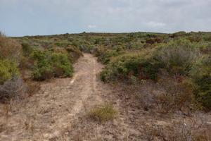 Terreno per azienda agricola Santa Teresa Gallura