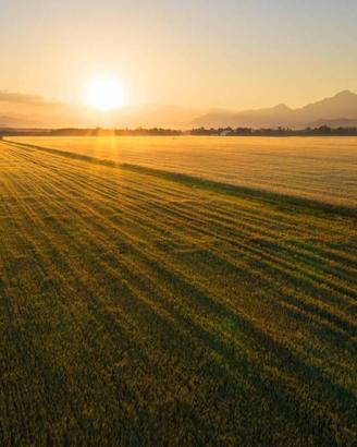 Terreno di 850000 m² a Mogliano Veneto