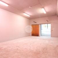 CAPANNONE A PONTIROLO NUOVO