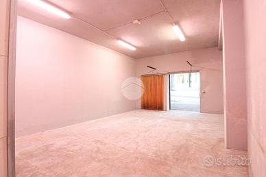 CAPANNONE A PONTIROLO NUOVO