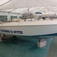 barca con motore 40 60 iniezione 4 tempi 