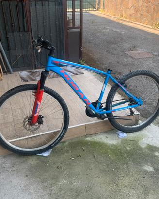 Bicicletta Mountain Bike (MTB) Hogan