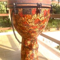 Djembe Remo 14", Leon Mobley Signature