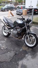 Honda Hornet 600