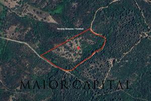 Terreno Agricolo - San Teodoro