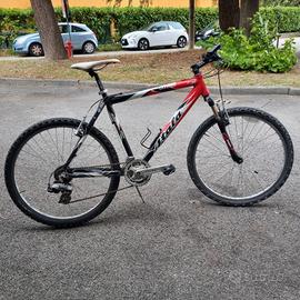 bicicletta da uomo 