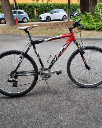 bicicletta da uomo 