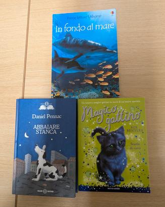 Lotto 3 Libri Bambini e Ragazzi