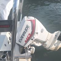 evinrude E-TECH 40HO 