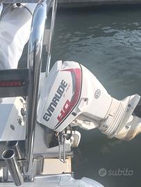 evinrude E-TECH 40HO 