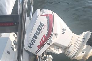 evinrude E-TECH 40HO 