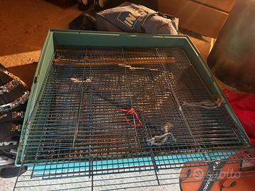 Gabbia per furetti cincillá