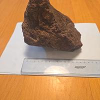 roccia per acquario dolce o marino o paludario 