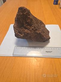 roccia per acquario dolce o marino o paludario 