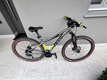 Mtb bulls