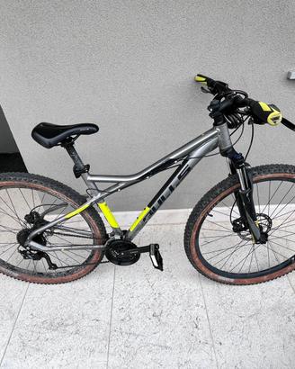Mtb bulls