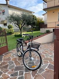 Bicicletta elettrica