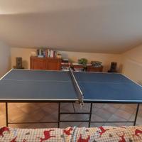 Tavolo da ping pong
