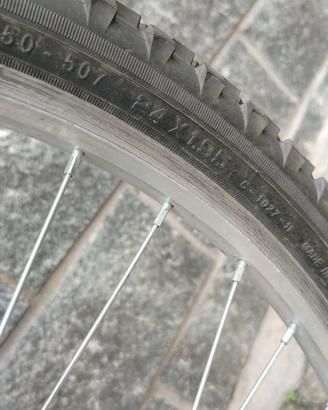 Bicicletta 24'