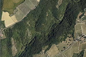 Terreno Agricolo - Siena