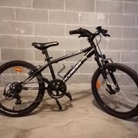 Bicicletta 20"