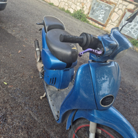 Vendita scarabeo 70 tpr