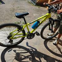 bicicletta sportelite Se24