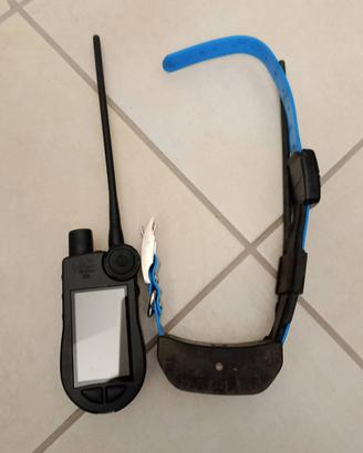 Palmare e collare tek 2