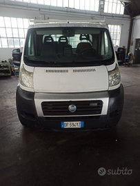 Fiat ducato cassone
