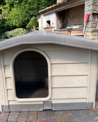 Cuccia per cani large